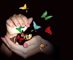 Играть с бабочками в сновидении