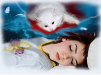К чему снится кошка в сновидении