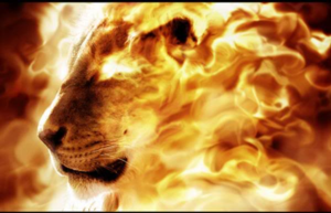 Стихия льва - огонь