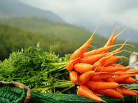 К чему снится морковь?