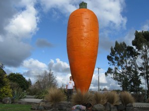 Сонник Ящики моркови: к чему снятся Ящики моркови женщине или мужчине