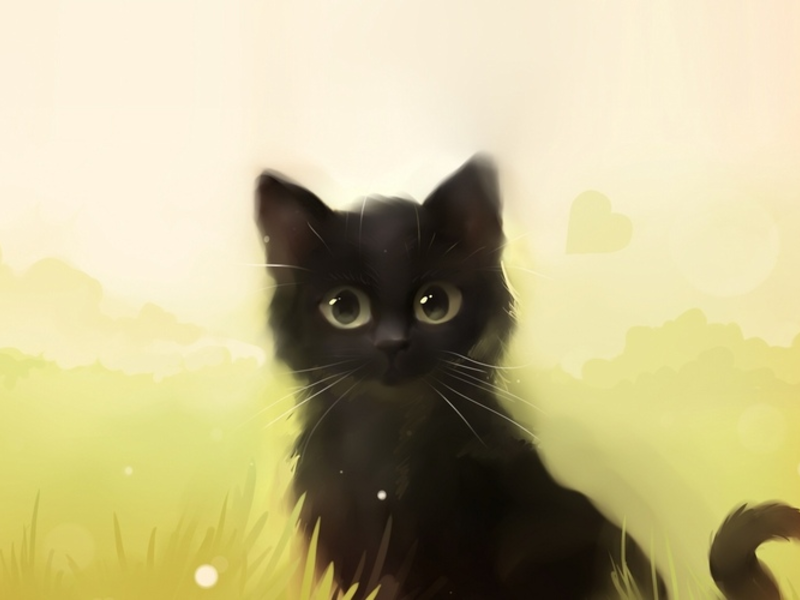 Черный котенок - помощь свыше