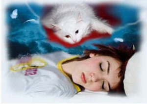 К чему снится кошка в сновидении