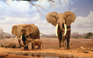  Снится в сновидении семья слонов